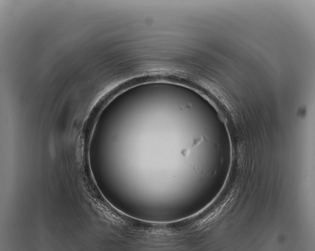 X0000095961021200801181440