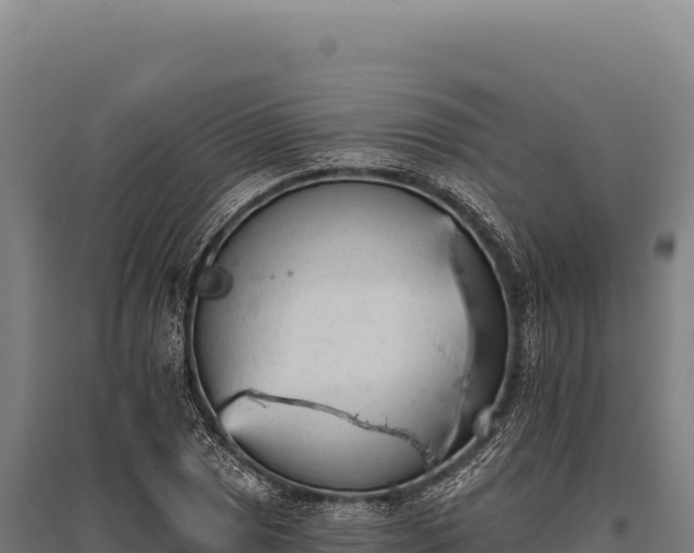 X0000095961025200801181440