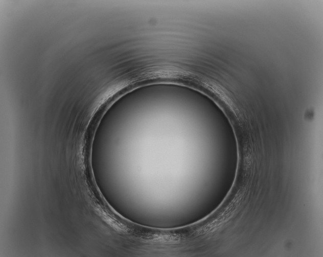 X0000095961026200801181440