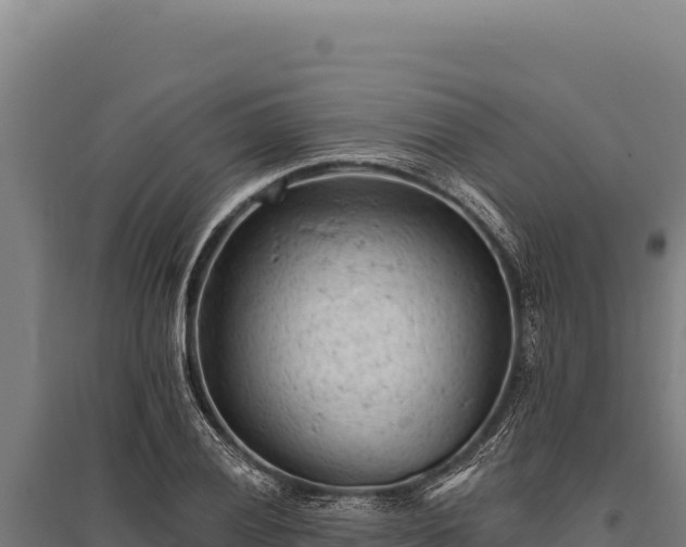 X0000095961028200801181440