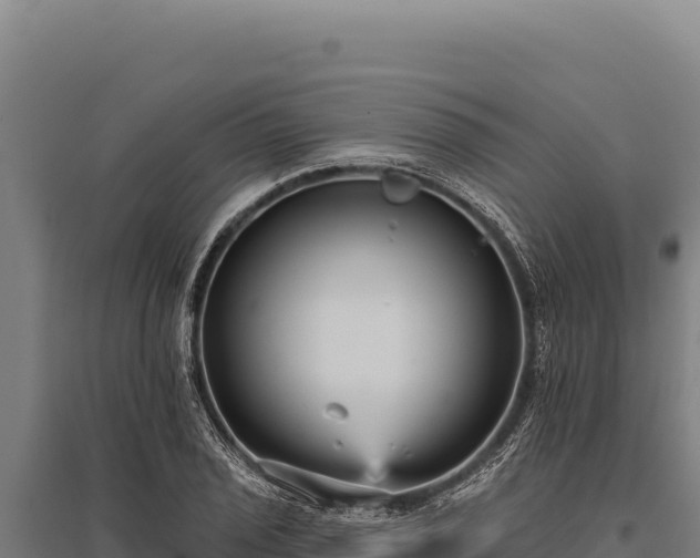 X0000095961029200801181440