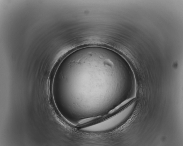 X0000095961030200801181440