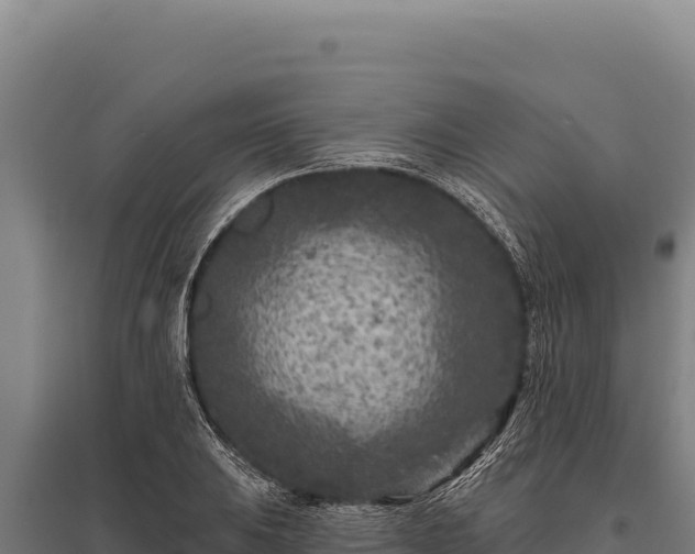 X0000095961031200801181440