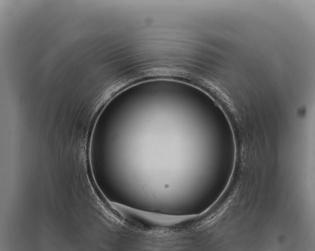 X0000095961033200801181440