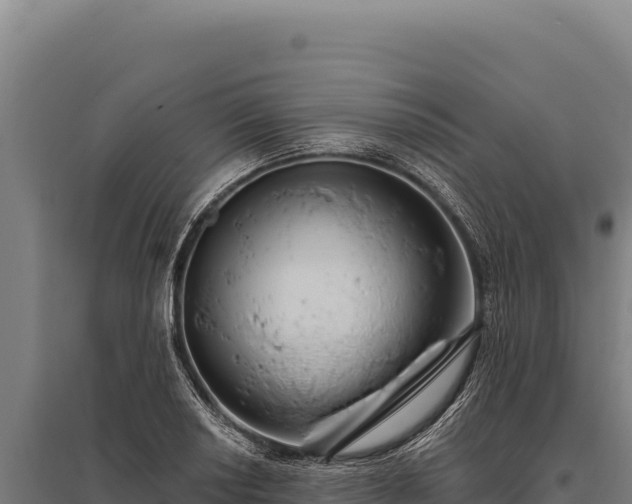 X0000095961034200801181440