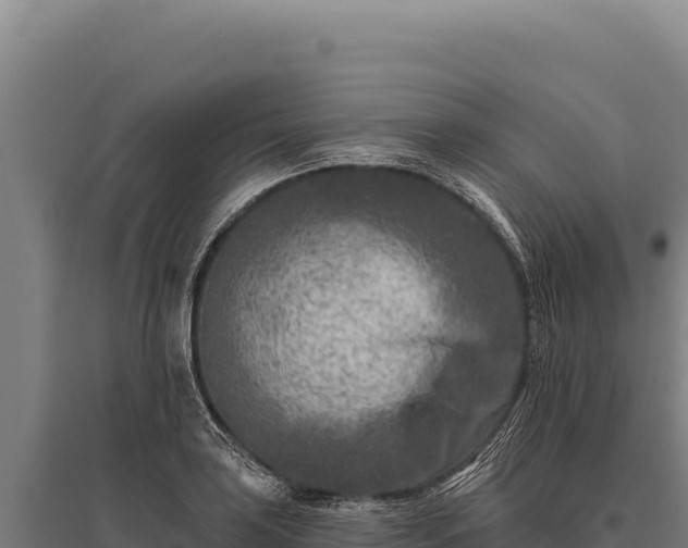 X0000095961035200801181440