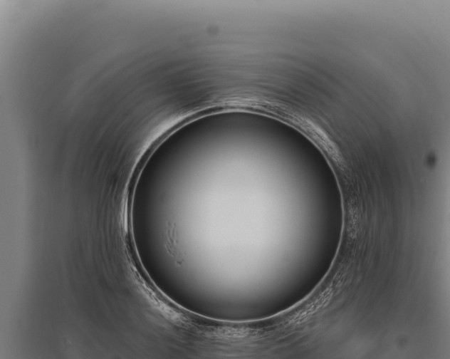 X0000095961036200801181440