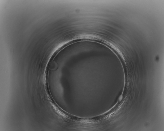 X0000095961037200801181440