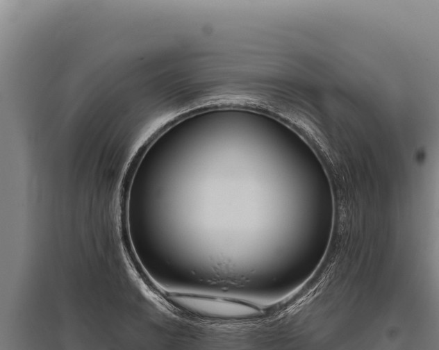 X0000095961038200801181440