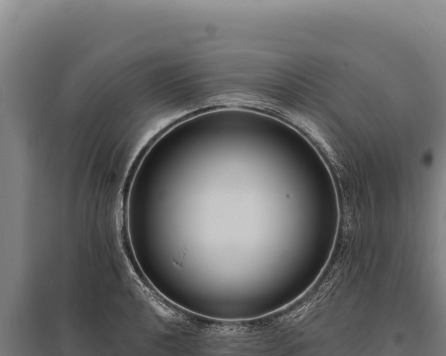 X0000095961040200801181440