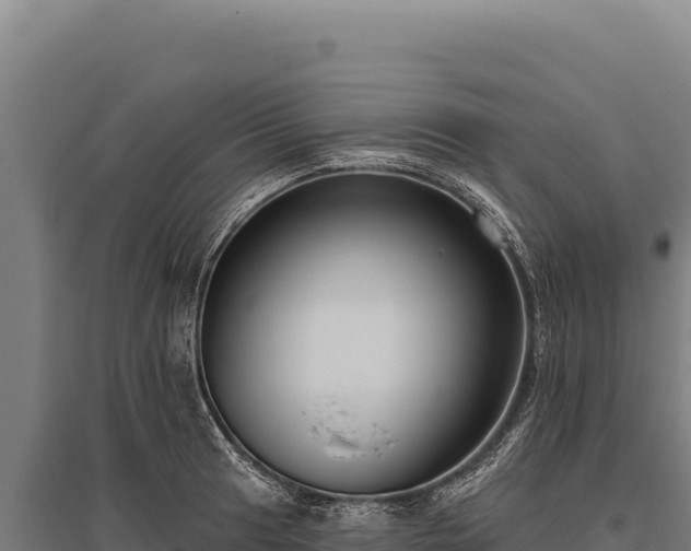 X0000095961041200801181440