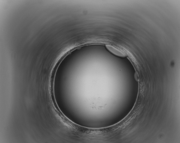 X0000095961043200801181440