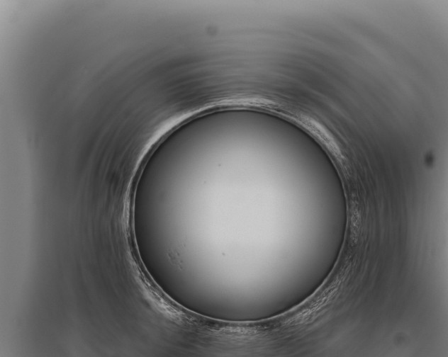 X0000095961044200801181440