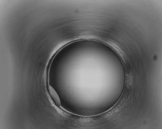 X0000095961046200801181440
