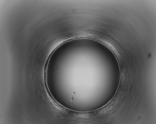 X0000095961047200801181440