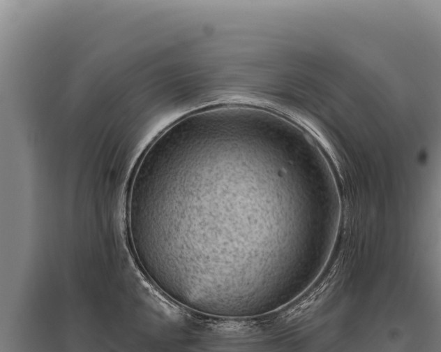 X0000095961048200801181440