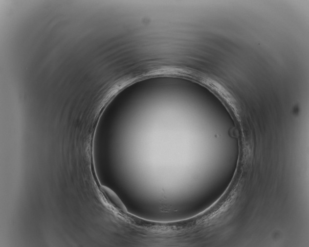 X0000095961049200801181440