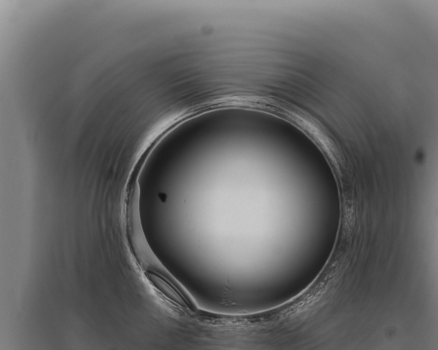 X0000095961050200801181440