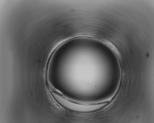 X0000095961052200801181440
