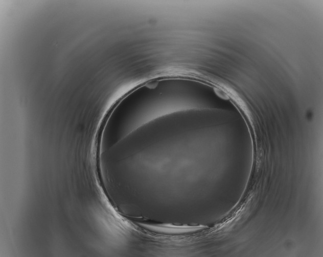 X0000095961053200801181440