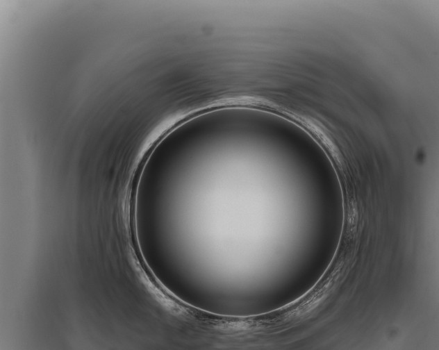 X0000095961054200801181440