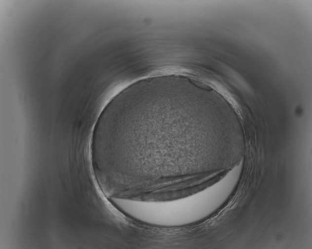 X0000095961055200801181440