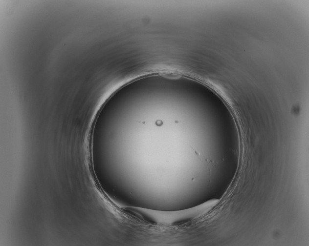 X0000095961056200801181440