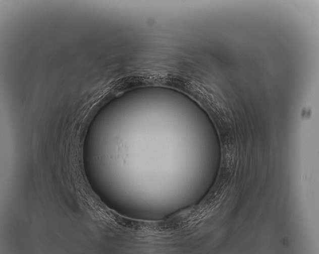 X0000095961057200801181439