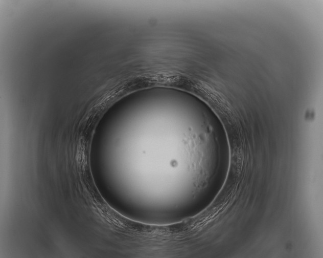 X0000095961058200801181439
