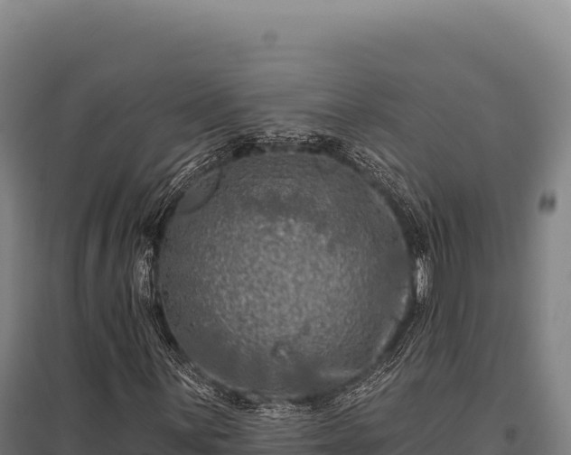 X0000095961059200801181439