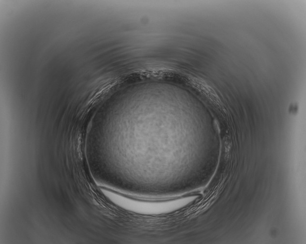 X0000095961060200801181439