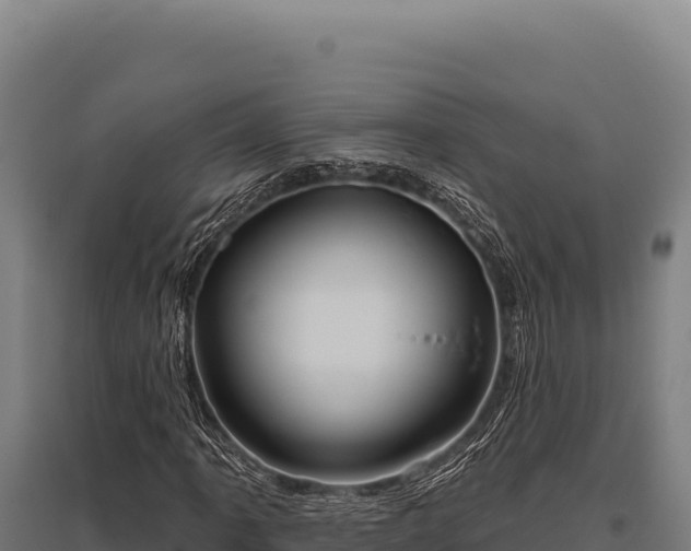 X0000095961061200801181439