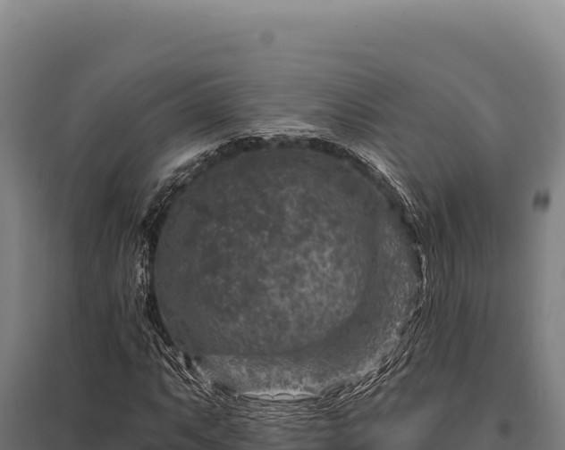 X0000095961063200801181439