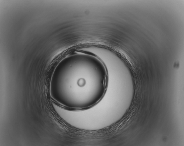 X0000095961064200801181439