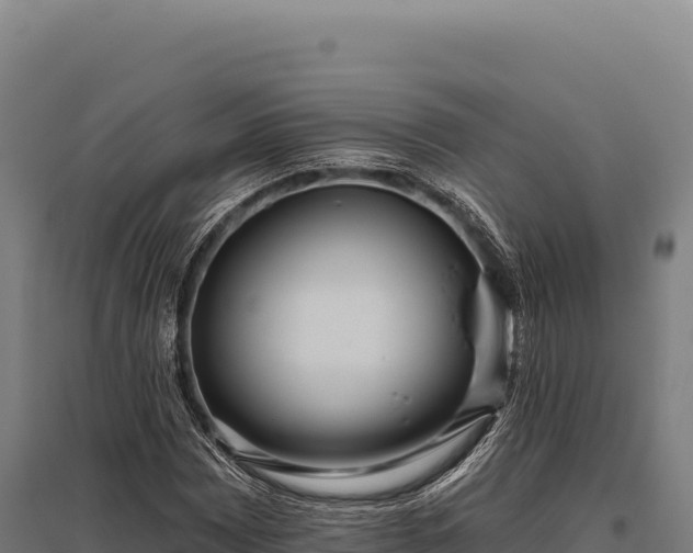 X0000095961065200801181439