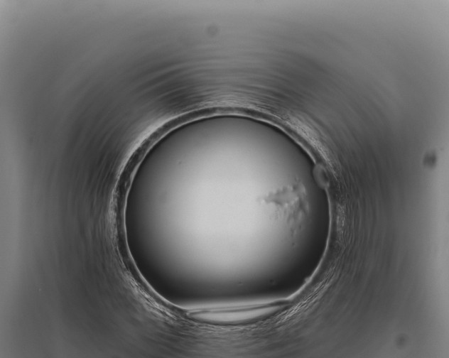 X0000095961068200801181439