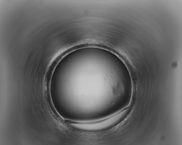 X0000095961070200801181439