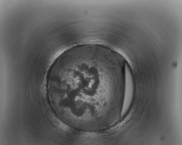 X0000095961071200801181439