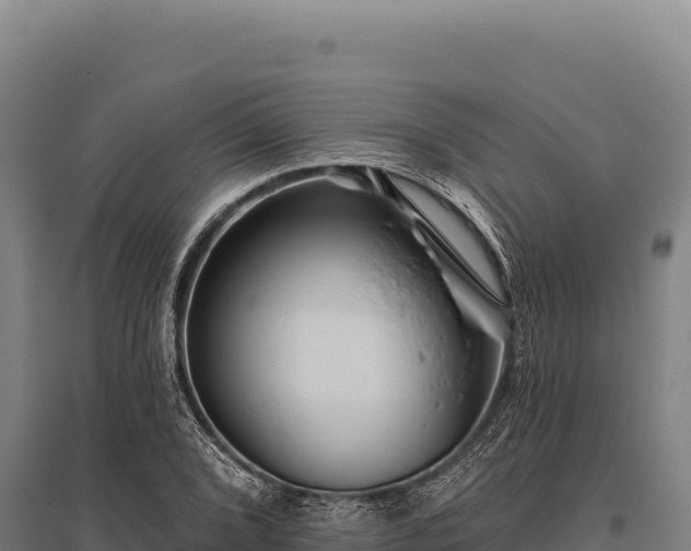 X0000095961072200801181439