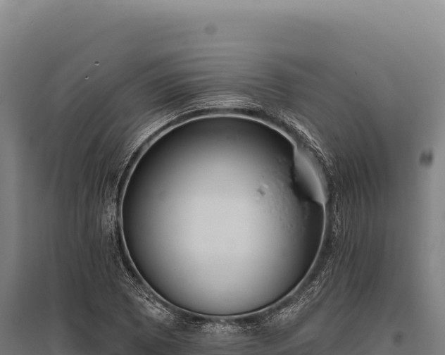 X0000095961073200801181439