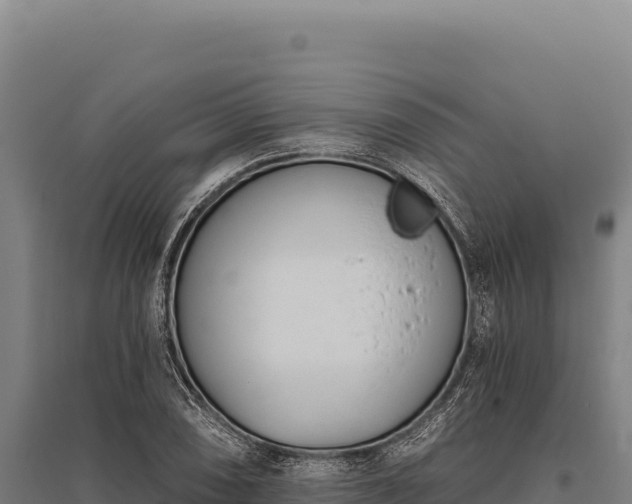 X0000095961074200801181439