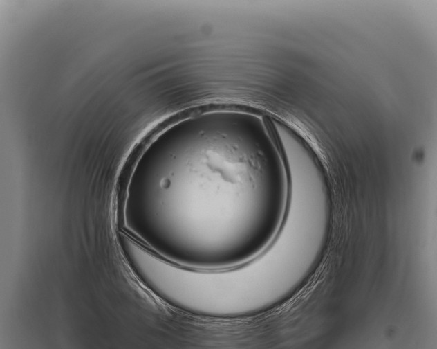 X0000095961076200801181439