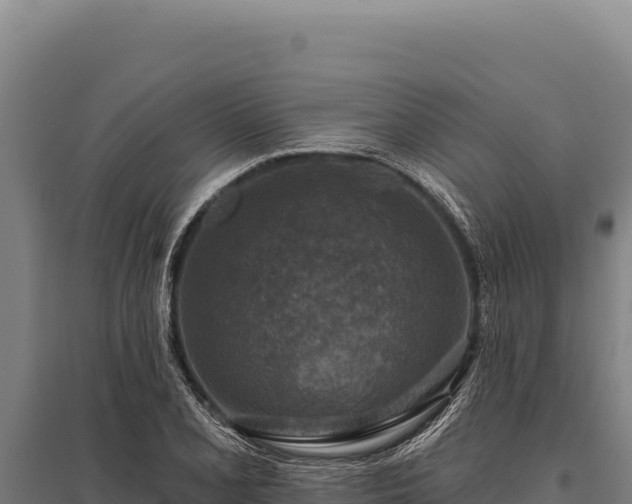 X0000095961077200801181439