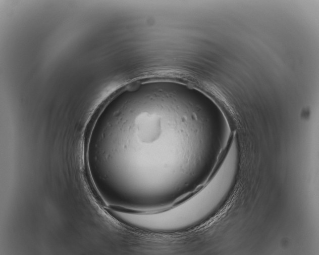 X0000095961079200801181439
