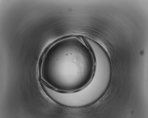 X0000095961080200801181439