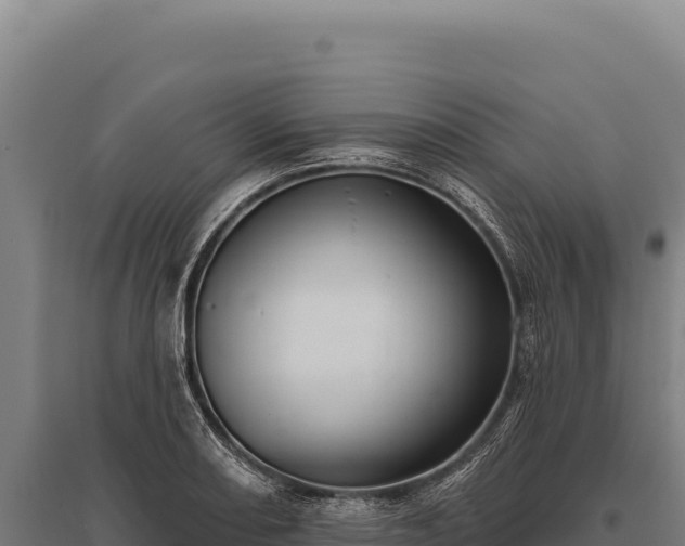 X0000095961082200801181439