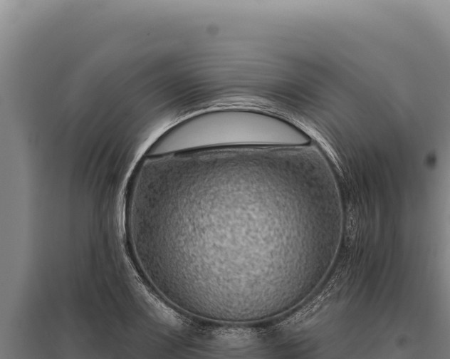 X0000095961083200801181439