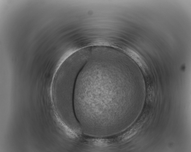 X0000095961084200801181439