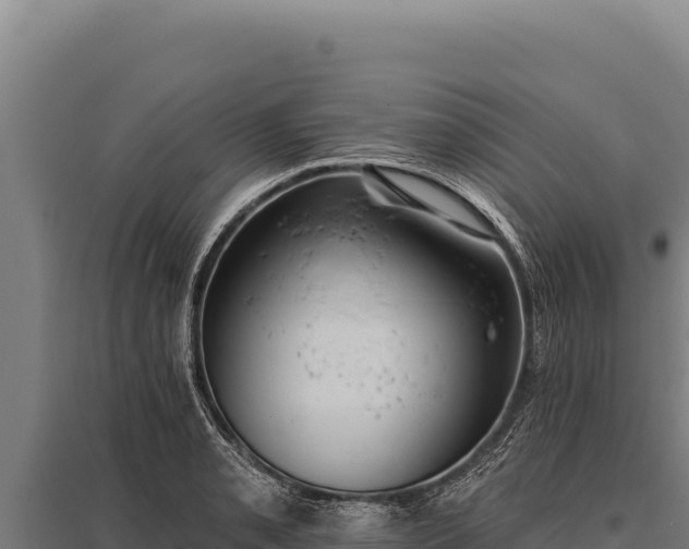 X0000095961085200801181439