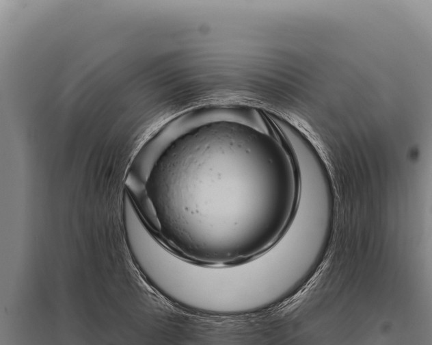 X0000095961089200801181439